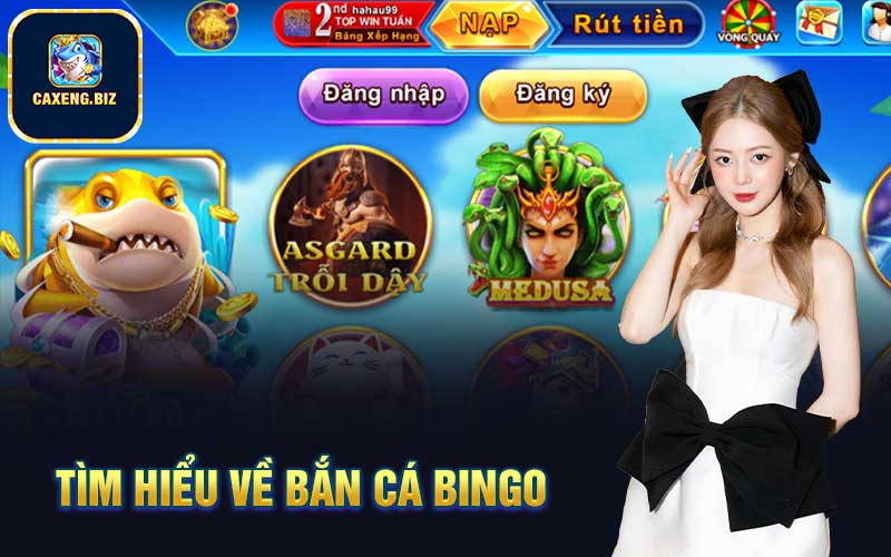 Tìm hiểu về bắn cá Bingo